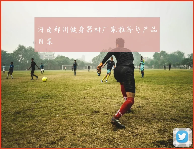河南郑州健身器材厂家推荐与产品目录