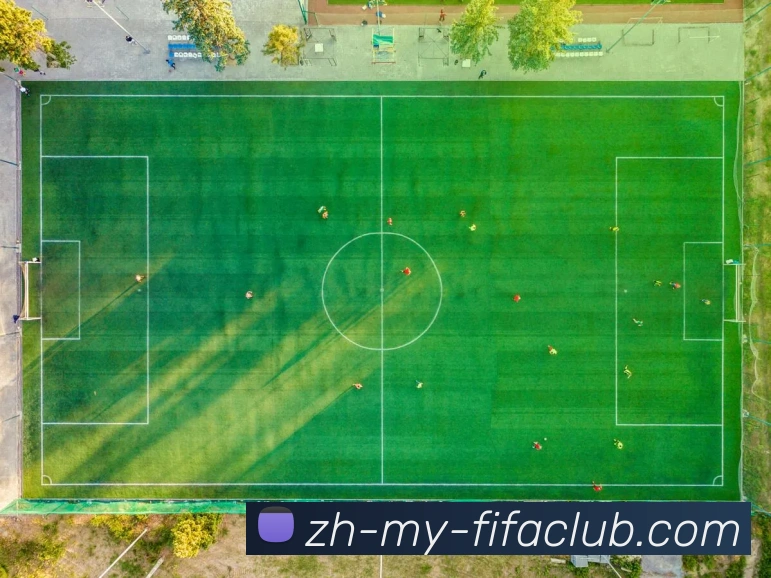 世界杯买球平台生态图